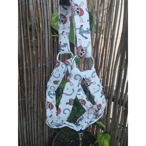 arnes pectoral pirata
