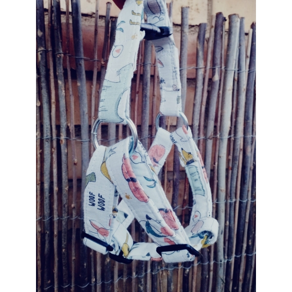 arnes pectoral sueño 2