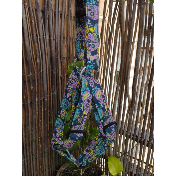 arnes pectoral calavera