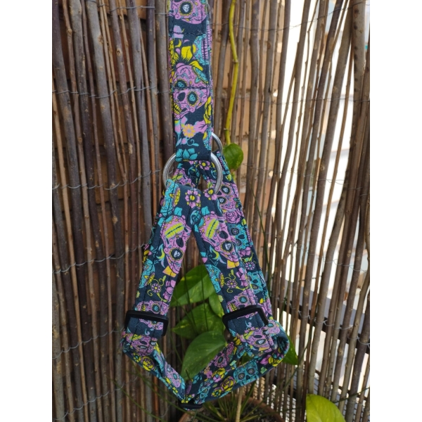 arnes pectoral calavera