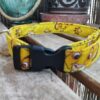 collar click rey leon