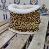 buff leopardo