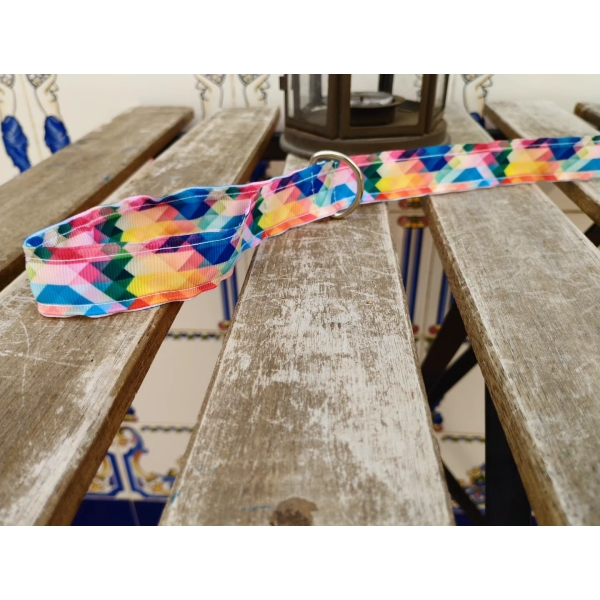correa multicolor 4