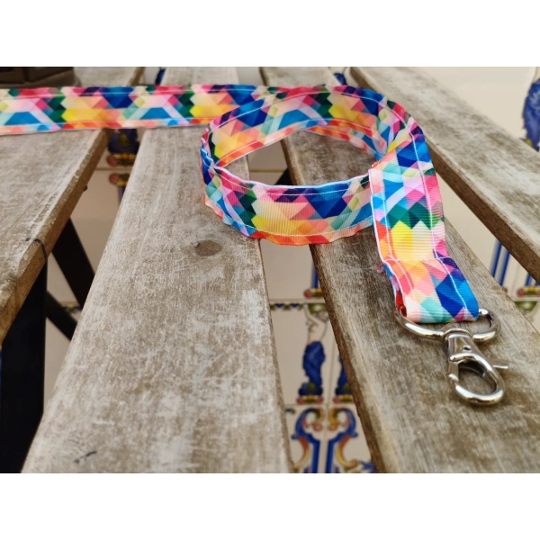 correa multicolor 5