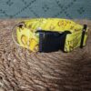 collar click rey leon
