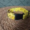 collar click 3.5cm rey leon