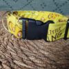 collar click 3.5cm rey leon 2