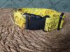 collar click 3.5cm rey leon 2