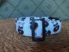collar click donuts 3.5