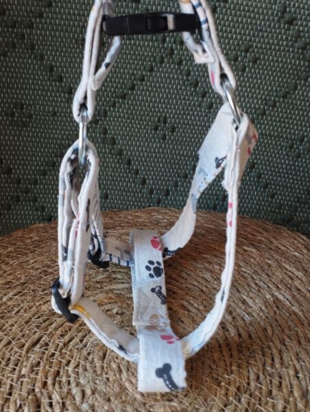 Arnes pectoral huesos 1