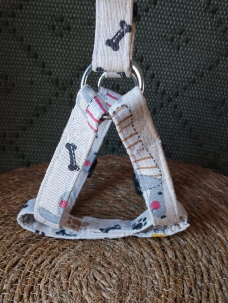 Arnes pectoral huesos 2