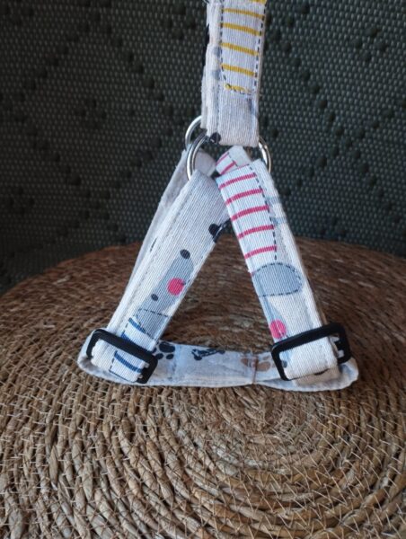 Arnes pectoral huesos 5