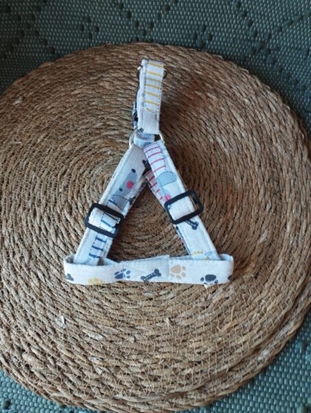 arnes pectoral huesos