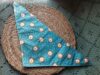 bandana Leon azul 1