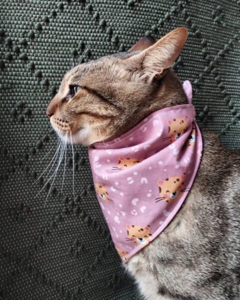 bandana palo rosa3