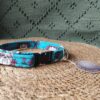 collar click 2cm rosas