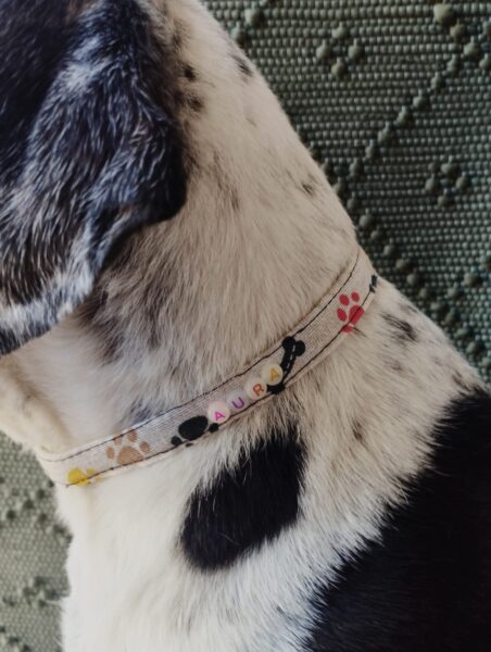 collar identificativo huesos 6