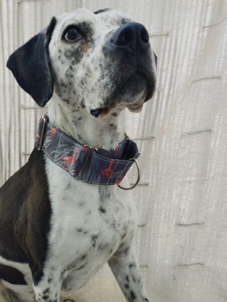 Collar martingale impermeable flamenco 4