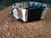collar click 5cm perezoso