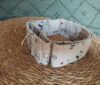collar martingale glamour 5cm 2