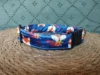 Collar click 3.5 Fox 6