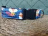 Collar click 3.5 Fox 7