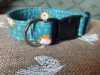Collar click leon azul 3.5