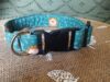 Collar click leon azul 3.5_1