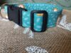 Collar click leon azul 3.5_2