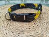 collar click pokemon