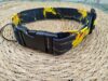collar click 3.5 pokemon