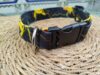 collar click 3.5 pokemon 2