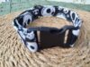 collar click jack 2cm 1