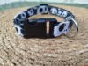 collar click jack 2cm 4
