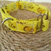 collar martingale 3.5 rey leon