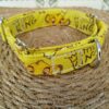 collar martingale 3.5 rey leon