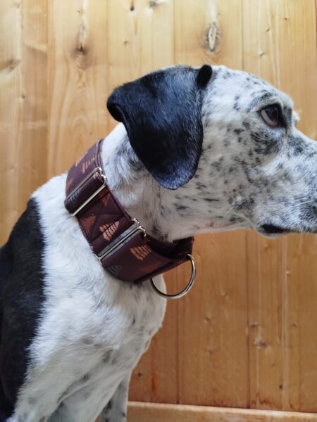 Collar Martingale Christmas