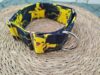 collar martingale pokemon