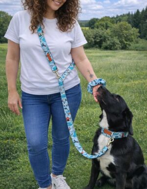 correa multiposicion